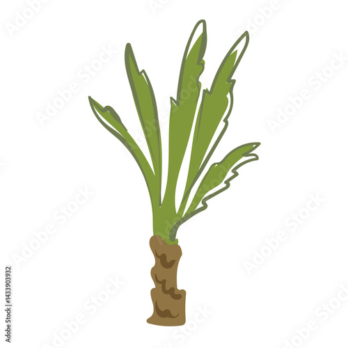 Palm tree in simple style. Tropical, beach tree for jungle decoration, bounty coast, children's illustration. Vector image in flat, progressive style for summer sticker.