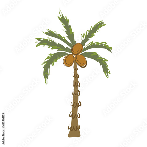 Palm tree with coconuts in simple style. Tropical, beach tree for jungle decoration, bounty coast, children's illustration. Vector image in flat, progressive style.