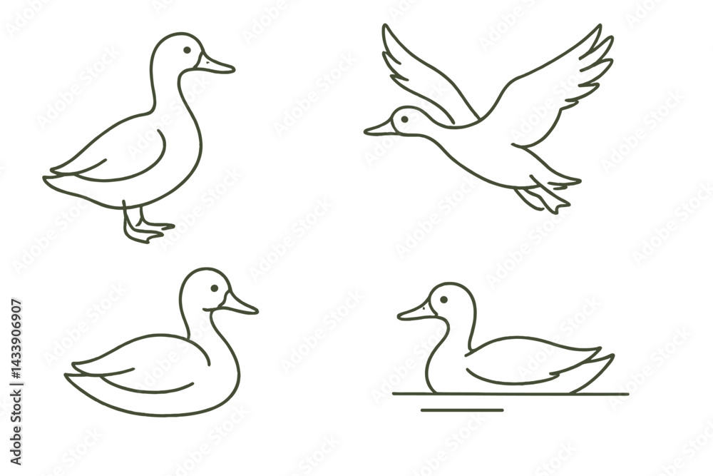 Icon set depicting various poses of ducks in simple line art style showcasing nature and wildlife themes Icon set depicting various poses of ducks in simple line art style showcasing nature and wildlife themes