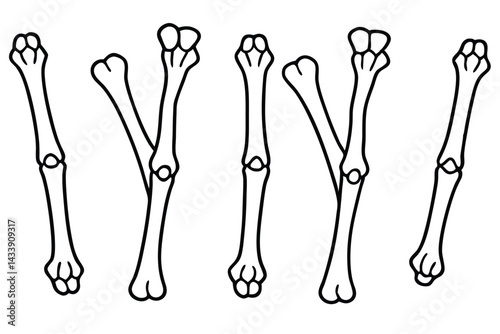 Carpals Xray Study Line art