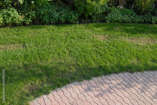 Green lawn with brick pathway and lush garden