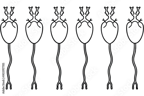 Central venous cathe access point Line art