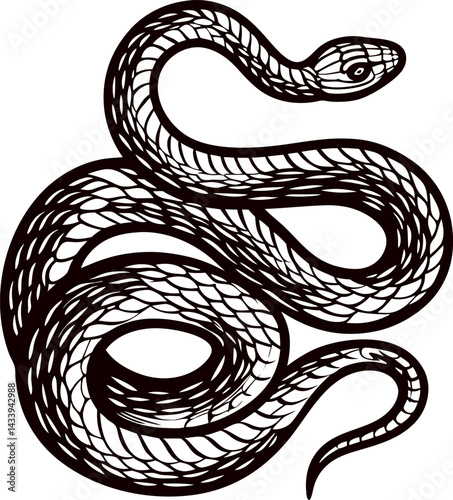 Intricate black and white line art of a coiled snake with detailed scales.