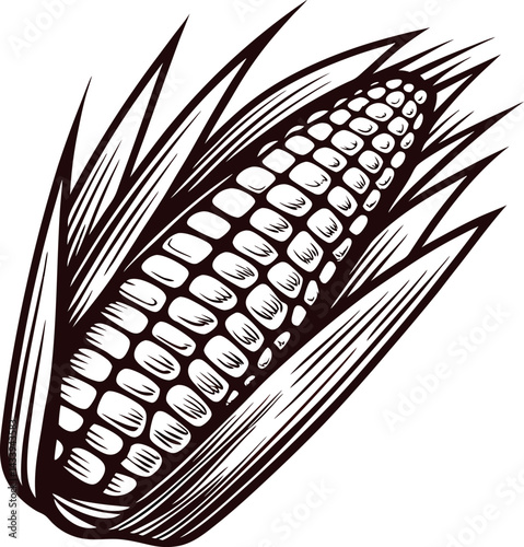 of corn cob with detailed husk and kernels