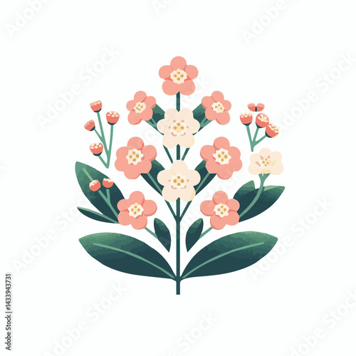 flower, nature, plant, pink, bloom, waxflower, floral, chamelaucium, blossom, green, wax, beautiful, background, white, natural, decoration, bunch, spring, summer, branch, bouquet, closeup, beauty, de