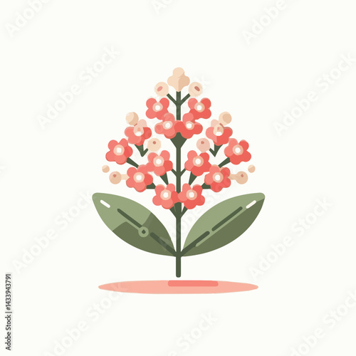 flower, nature, plant, pink, bloom, waxflower, floral, chamelaucium, blossom, green, wax, beautiful, background, white, natural, decoration, bunch, spring, summer, branch, bouquet, closeup, beauty, de