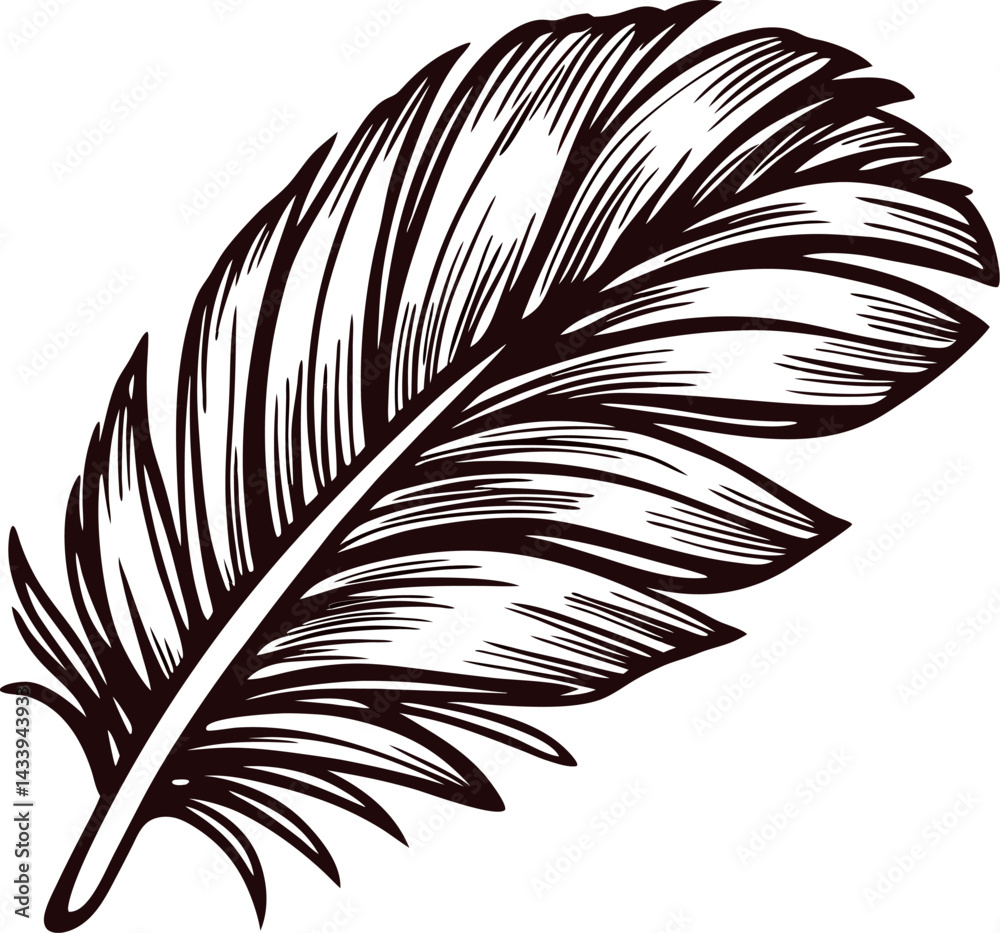 Obraz premium Intricate black and white feather drawing on white background.