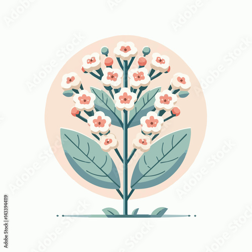 flower, nature, plant, pink, bloom, waxflower, floral, chamelaucium, blossom, green, wax, beautiful, background, white, natural, decoration, bunch, spring, summer, branch, bouquet, closeup, beauty, de