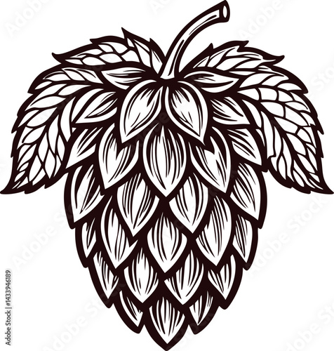 Detailed line art of hop cone with leaves for brewing and botanical design