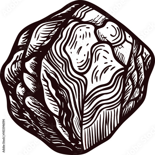 Intricate black and white woodcut of a detailed rock formation