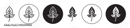 Basil icon solid illustration, pictogram isolated on white design element.