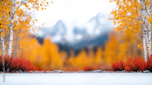 Autumnal forest scene with snow
