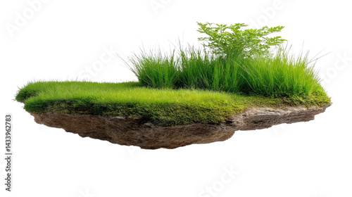Floating Island of Serenity: An isolated patch of verdant land, afloat in the expanse, showcasing a vibrant ecosystem with lush green grass and thriving vegetation.