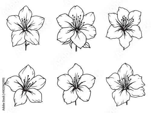 Azalea line art floral elegance for modern digital design lovers