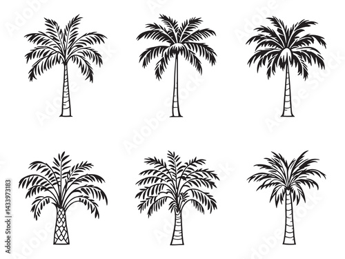 Cabbage palm botanical line art illustration 