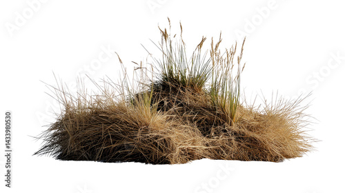 Dry Grass Cluster