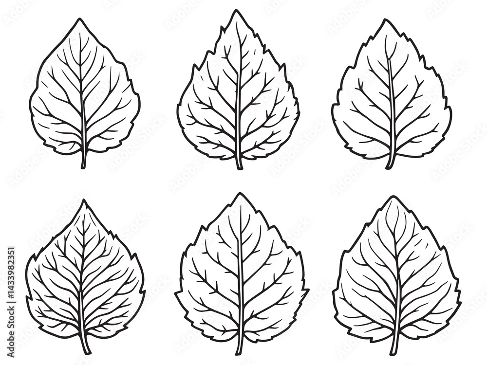Obraz premium Detailed Cassava Root and Leaf Line Art Illustration