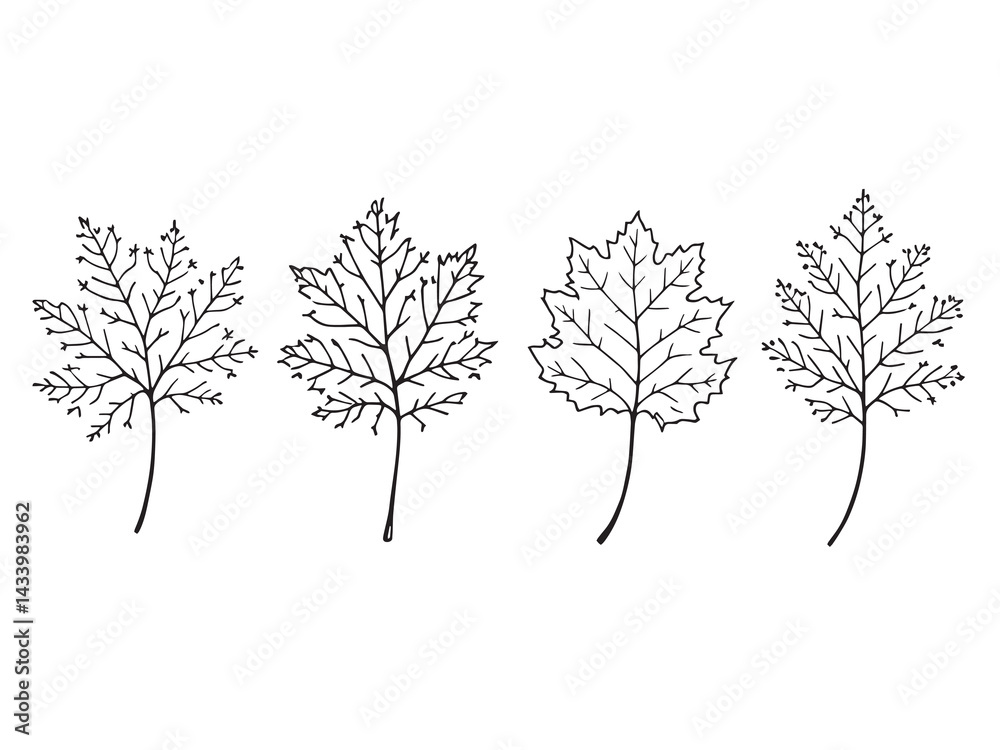 Obraz premium Detailed Hemlock Leaf Vector Art Design for Illustrations 