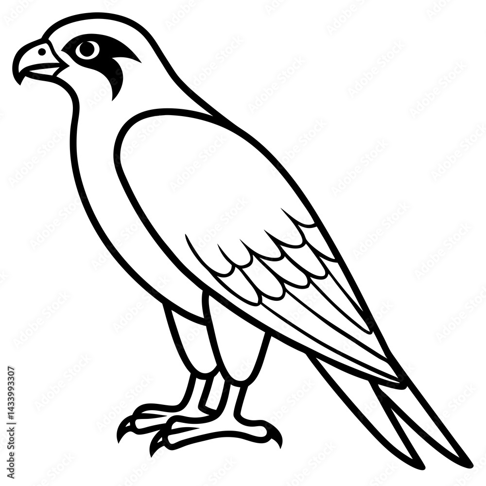 Obraz premium Sleek Falcon Outline Vector Illustration