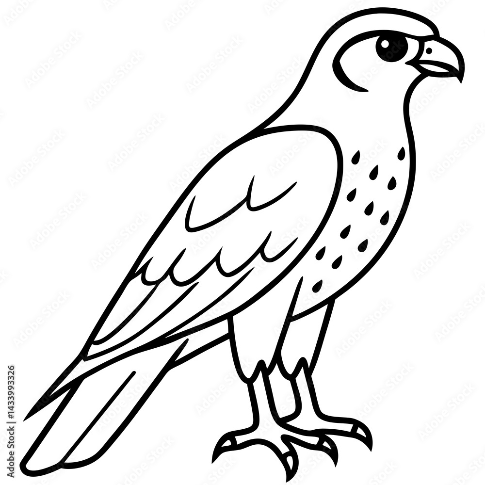 Sleek Falcon Outline Vector Illustration Sleek Falcon Outline Vector Illustration