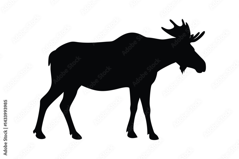 Fototapeta premium Majestic Moose Silhouette in the Wild