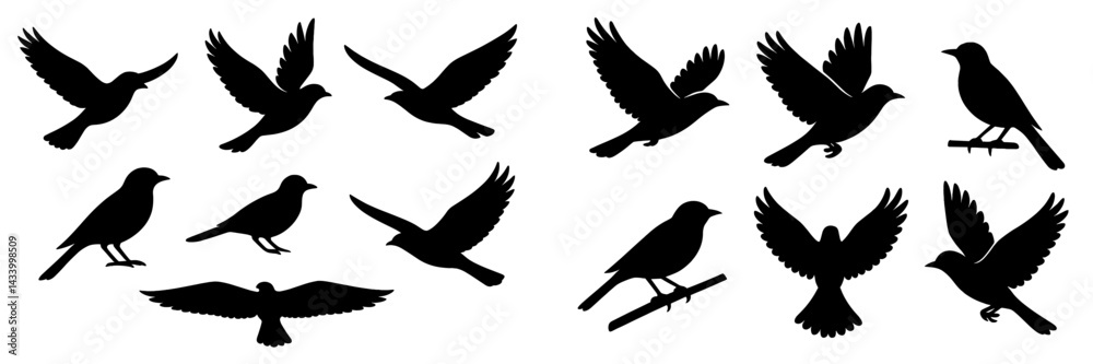 Fototapeta premium Various silhouettes of birds in different poses and flight positions displayed in a graphic design format