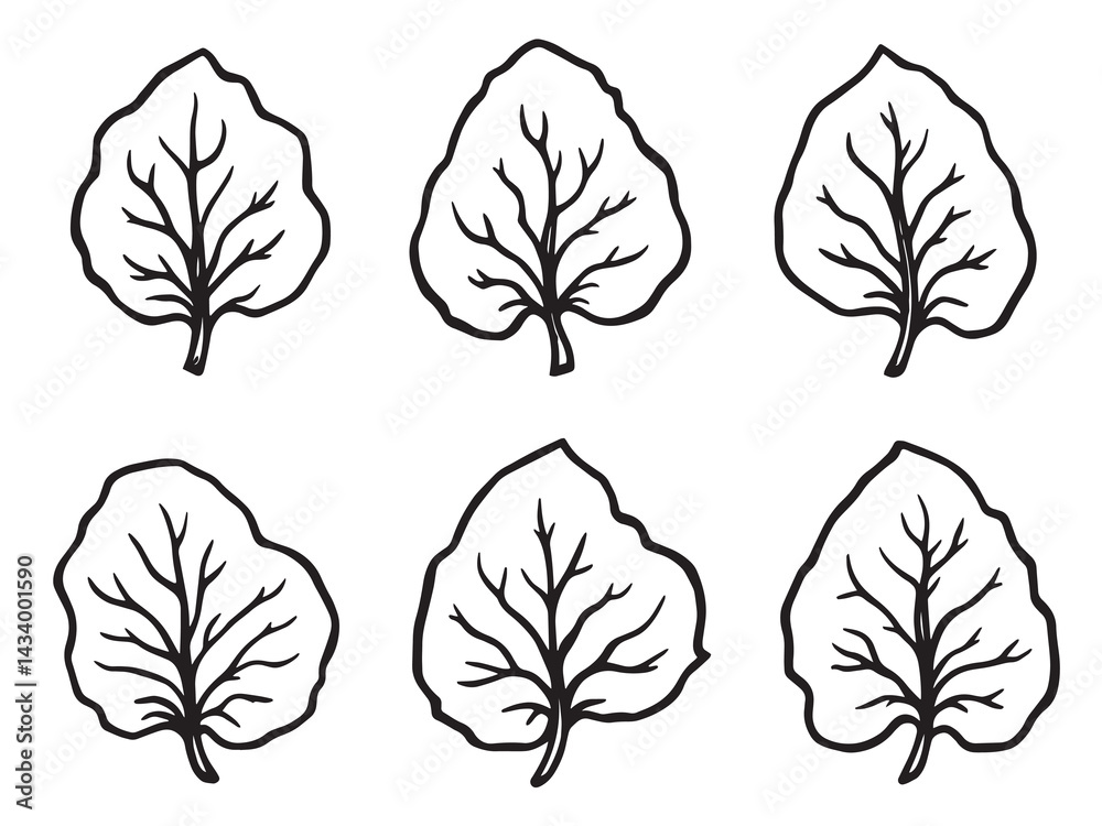 Fototapeta premium Elegant Coral Bells Leaf Detailed Line Art Illustration