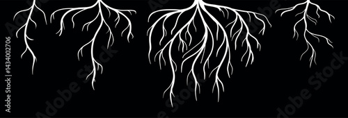 Set of white silhouettes of root systems isolated on black background