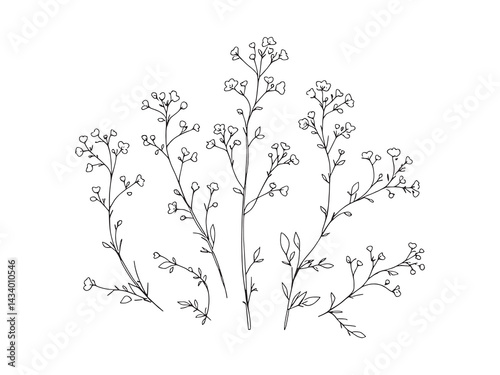 Elegant Gypsophila Flower Line Art Design for Creative Projects