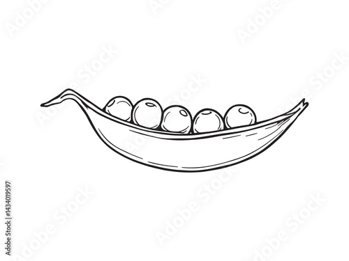 Fresh Green Peas in Simple Line Art Illustration Design 