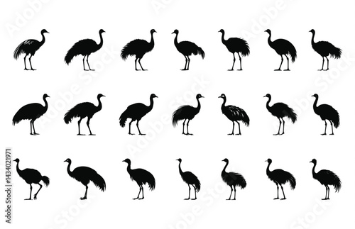 Emu Silhouette Clipart Bundle, Ostrich Emu Vector Black Silhouette Set