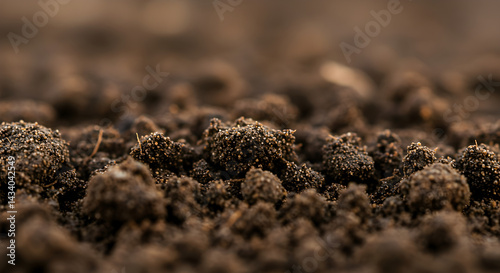Rich Soil Texture Depicting The Essence Of Natural Grounds