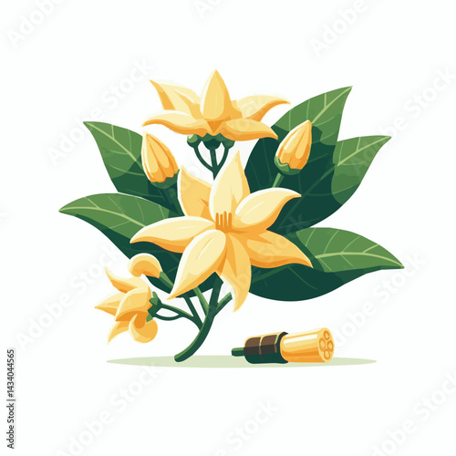 plant, blossom, flora, nature, bloom, aromatherapy, natural, flower, aroma, leaf, yellow, cananga, tropical, beauty, botanical, isolated, perfume, green, background, spa, organic, fragrance, essential