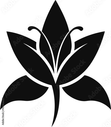 Lily vector icon on white background. Flat vector lily icon symbol sign from modern nature collection for mobile concept and web apps design.