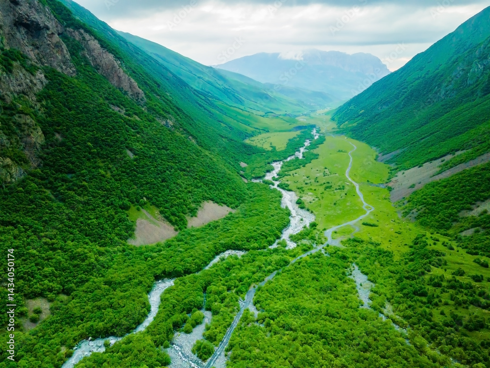 Green trees and river in the mountain gorge at foggy day. North Ossetia, Caucasus, Russia.