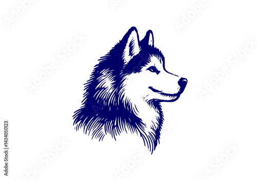 Siberian Husky Dog Hand Drawn Illustration Sketch Vector Isolated by AZ for Books, Arts, Design and Decoration Graphic Asset