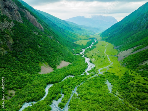 Obraz na płótnie Green trees and river in the mountain gorge at foggy day. North Ossetia, Caucasus, Russia. w salonie