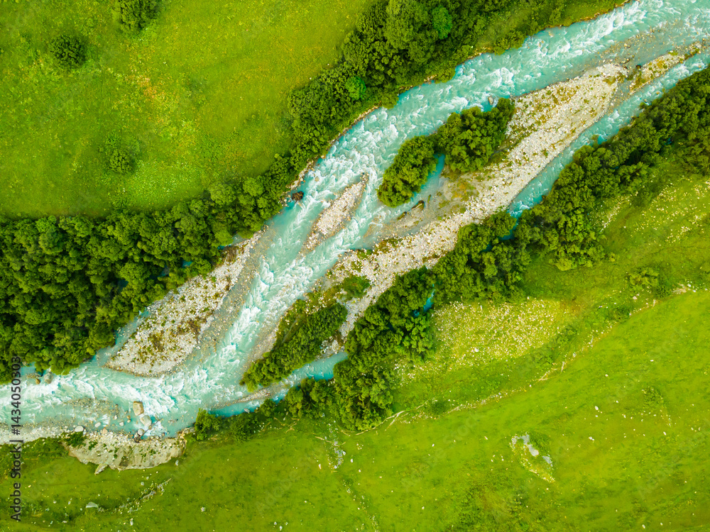 Mountain river with green trees and fresh green grass. Aerial top down view.