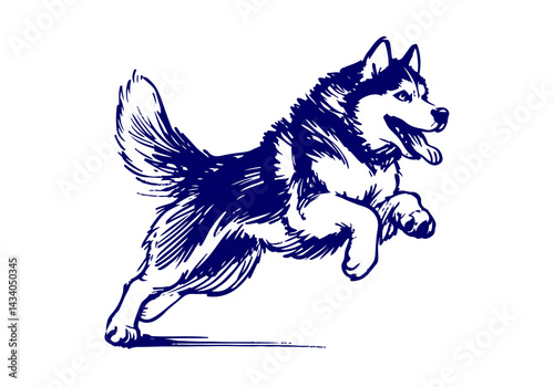 Siberian Husky Dog Hand Drawn Illustration Sketch Vector Isolated by AZ for Books, Arts, Design and Decoration Graphic Asset