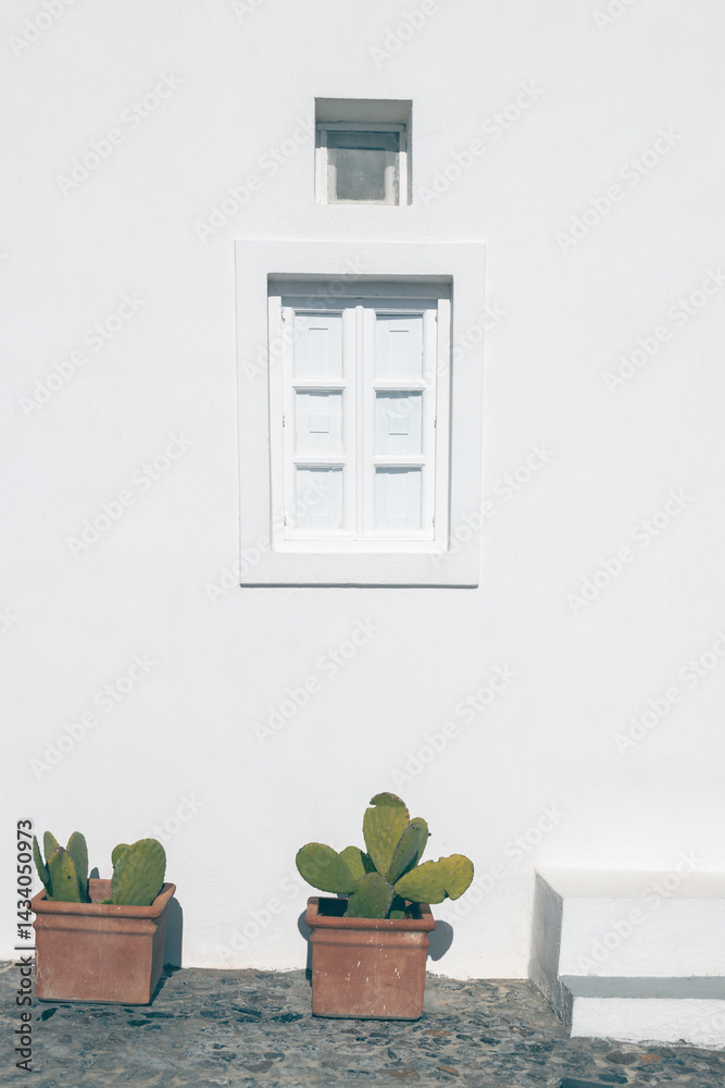 White cycladic architecture in Santorini island, Greece. Ceramic pots with green cactuses under the window