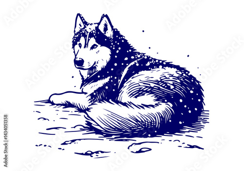 Siberian Husky Dog Hand Drawn Illustration Sketch Vector Isolated by AZ for Books, Arts, Design and Decoration Graphic Asset