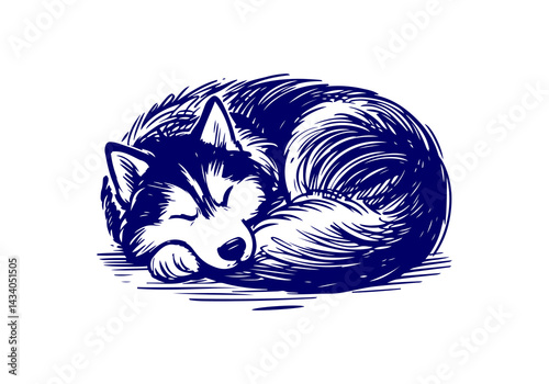 Siberian Husky Dog Hand Drawn Illustration Sketch Vector Isolated by AZ for Books, Arts, Design and Decoration Graphic Asset