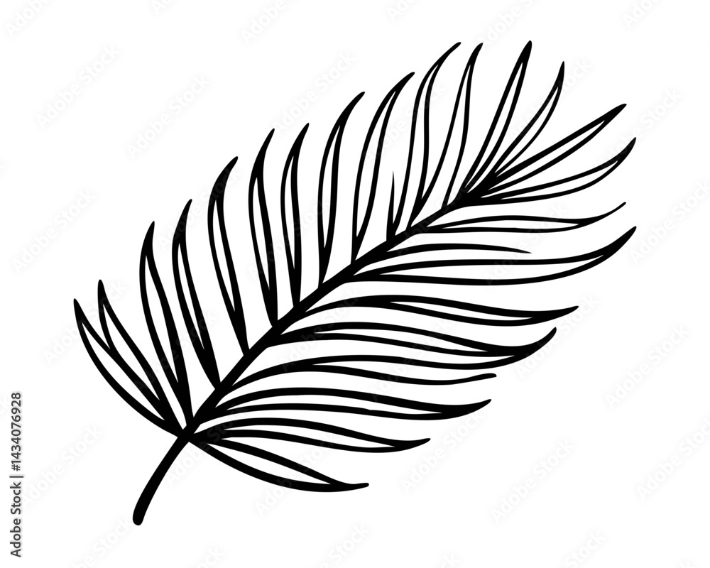 Obraz premium palm leaf 