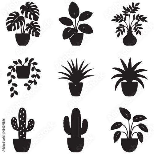 Houseplants. set of Vector Black silhouettes home plants, succulents in pot. Indoor exotic flowers with stems and leaves. Monstera, ficus, pothos, yucca, dracaena, cacti, 
