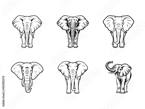 Collection of elephant front view heads silhouette isolated on white background
