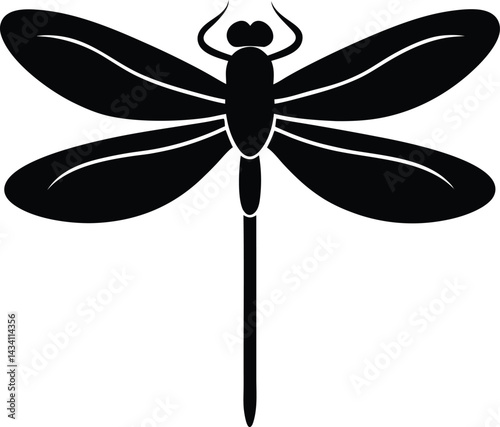 dragonfly on white background