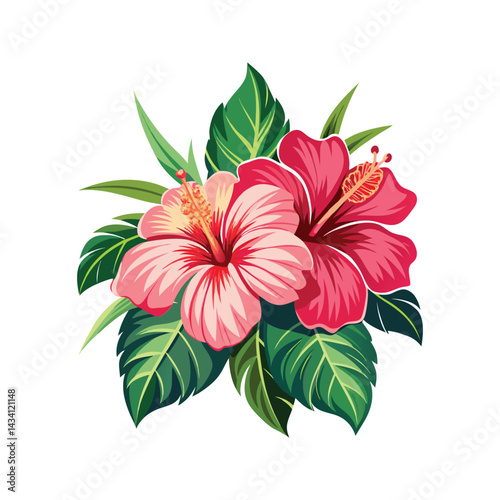 Colorful tropical hibiscus flowers and leaves vector illustration isolated on white background