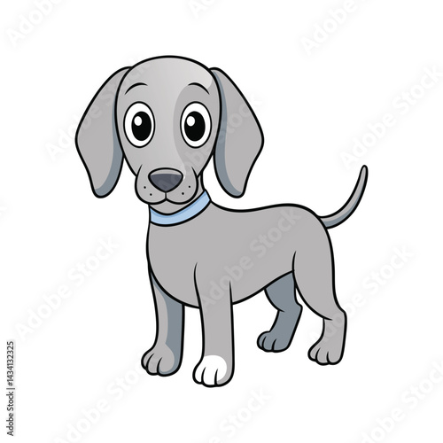 Cute gray Weimaraner with large floppy ears and orange collar vector illustration isolated on white background