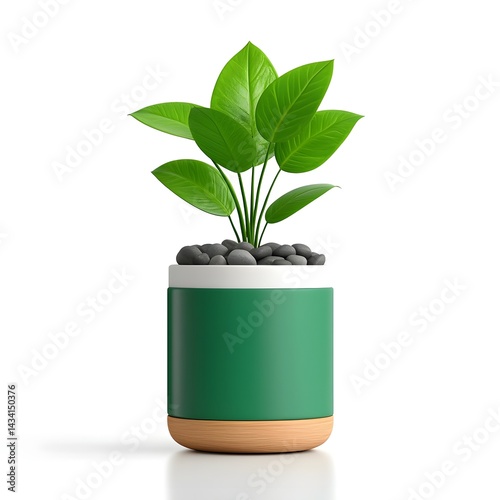 Obraz na płótnie Indoor potted plant in ceramic container w salonie