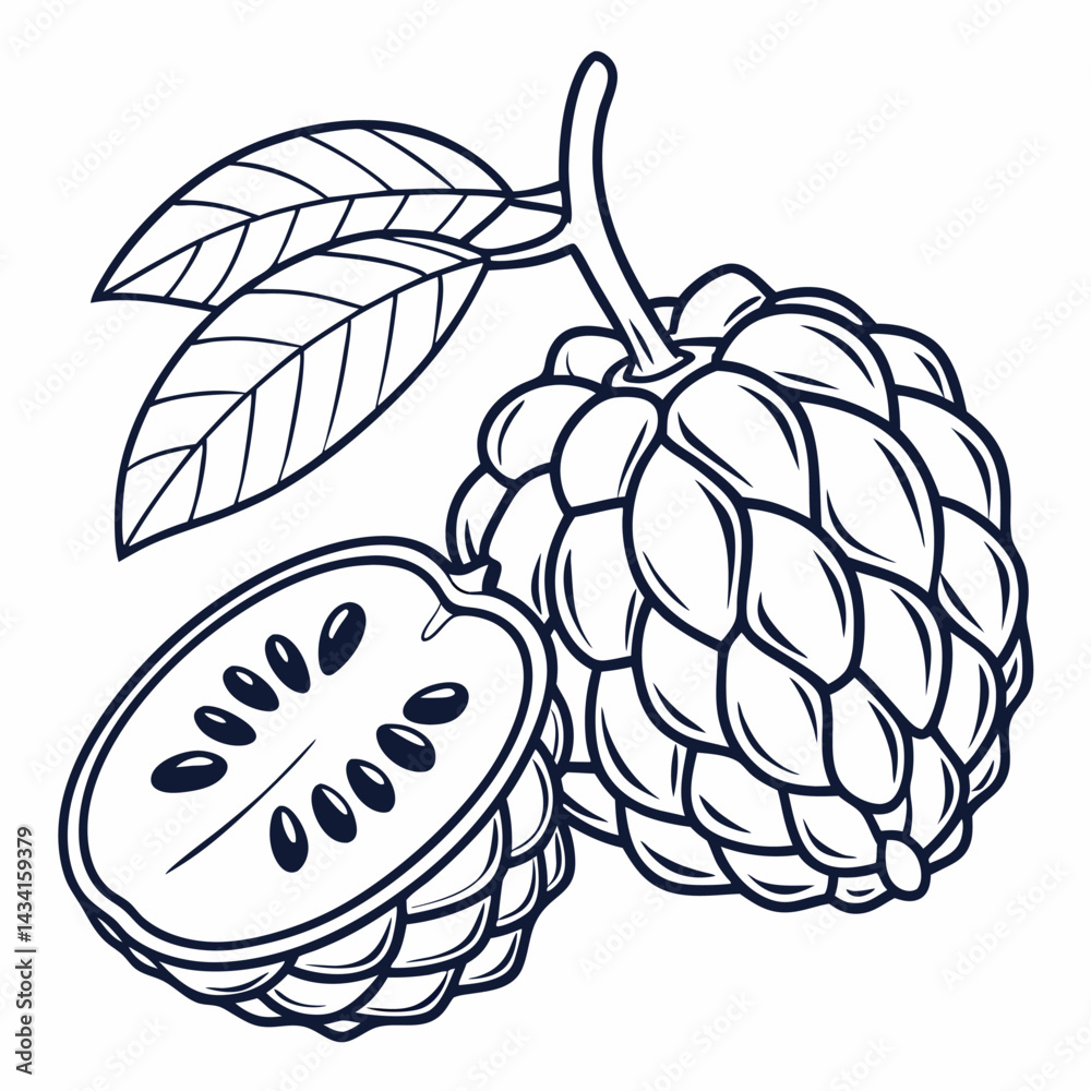 Fototapeta premium hand drawn vector illustration of fruits